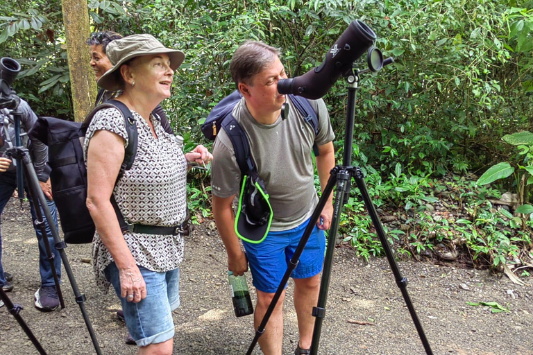 Manuel Antonio Park: Guidad tur för att se djur och strandtidPrivat tur