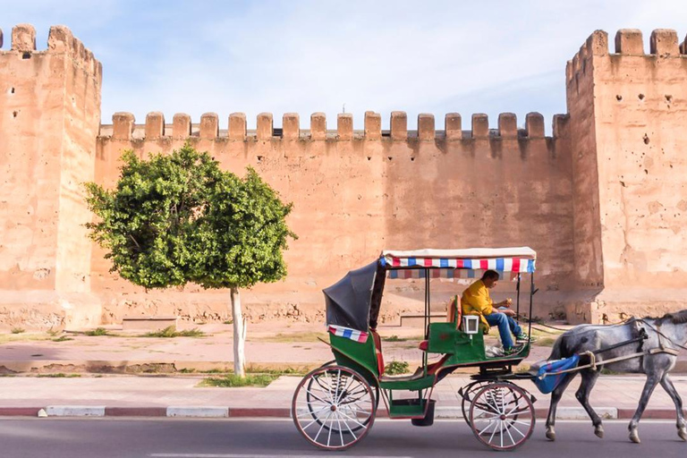 Agadir: Explore the Hidden Charms of Souss Massa in 4 Days Private Tour