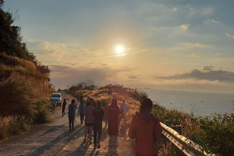 Excursión Diaria Paseo y Excursión por la Fauna de Son Tra (Opción Cena)