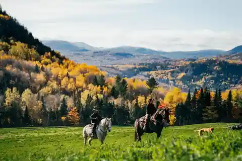 La Montagnarde : Promenade à cheval guidée sur des sentiers de montagne.
