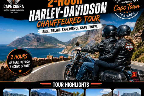 Cape Town: Harley-Davidson Chauffeured Tour with Guide
