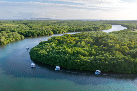 Denarau: Self Drive BBQ eBoat Cruise with Onboard BBQ Fiji Self-Drive Cruise with optional BBQ onboard