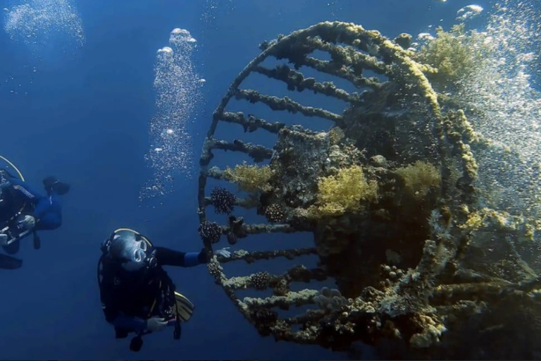 Discover Jordan from north to south on a 5-day private tour