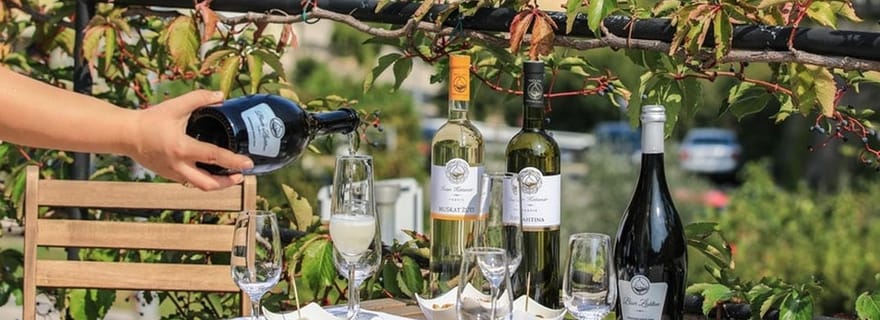 Krk : Visite et dégustation d'un vignoble familial