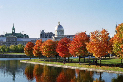 Montreal: Guidad stadsvandring på halvdagen