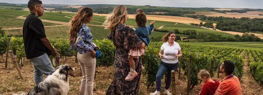 Escapade et dégustation dans le vignoble de Chablis
