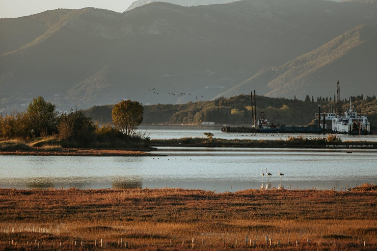 Odkryj półwysep Lustica na rowerze elektrycznym