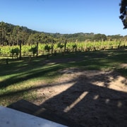 Swan Valley Wine Discovery: Private Tour from Perth