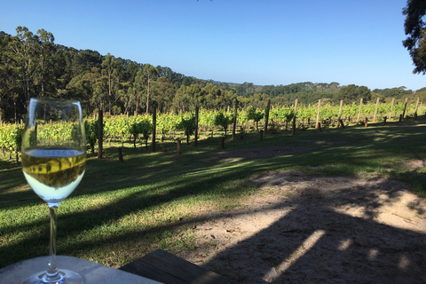 Découverte des vins de la Swan Valley : Visite privée au départ de Perth