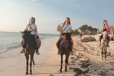 Gili Trawangan: Paardrijden op het strand1 uur