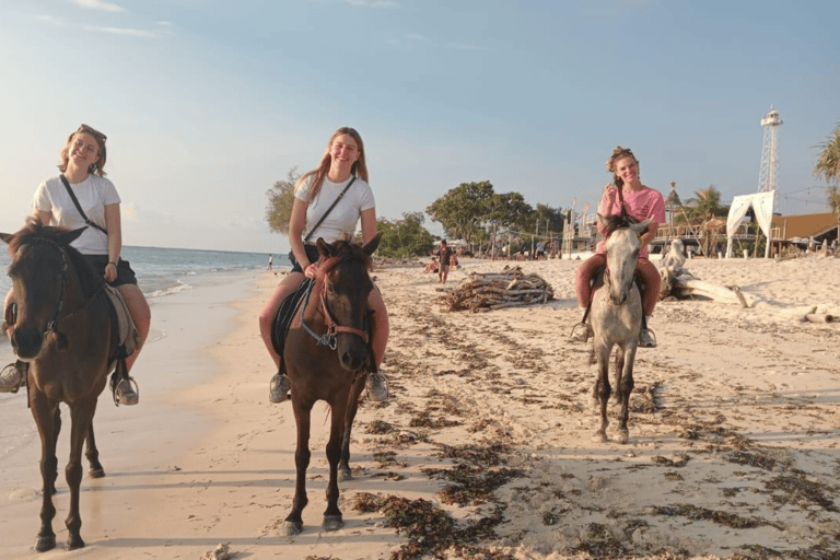 Gili Trawangan: Ridning på stranden1 timme