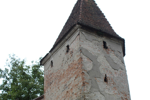 Brașov: Slow Travel Photography Tour in Saxon Villages