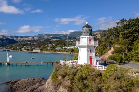 Christchurch: Akaroa Day Tour with Lunch - Image 2