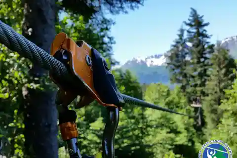 Seward: Stoney Creek Canopy Tour with Zipline