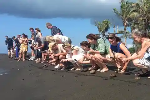 Praia de Saba: Passeio a cavalo e experiência de libertação de tartarugas