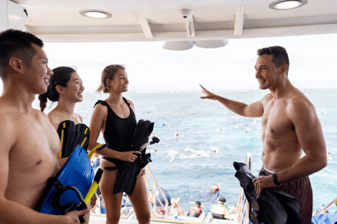 4-Day Learn to Dive PADI Open Water Course