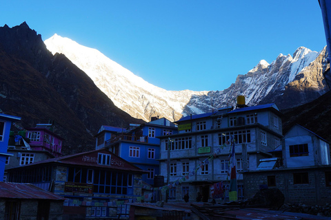 Trek dans la vallée du Langtang