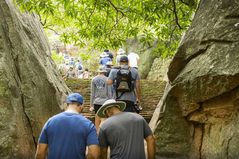 Anuradhapura: Sigiriya Fortress and Habarana Safari Tour