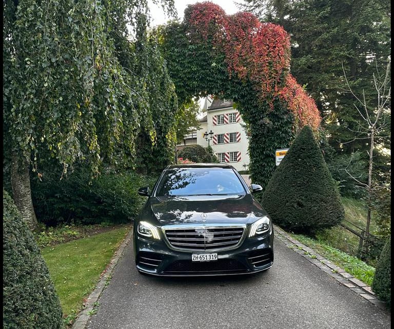 Saint Moritz: Zürich airport to St. Moritz day trip and back | GetYourGuide