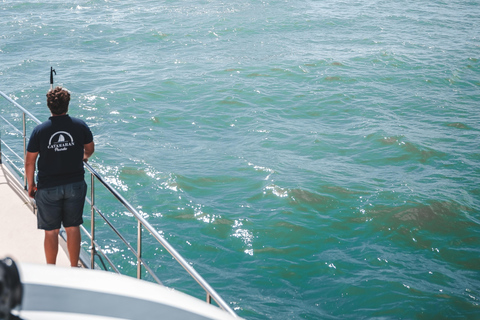 Le Grau-du-Roi - Sea trip to meet the fishing trawlers
