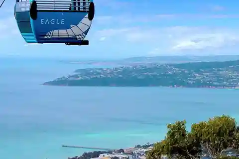 Farmer's Lunch and Arthurs Seat Eagle Cable Car Ride - For 2