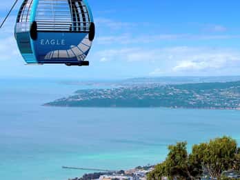 Almoço do fazendeiro e passeio de teleférico Arthurs Seat Eagle - para 2 pessoas