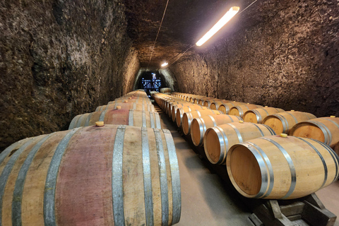 Loire Valley Wine Tour from Paris: 2 Wineries & 10 Tastings Premium Option