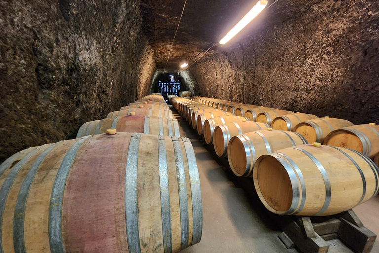 Loire Valley Wine Tour from Paris: 2 Wineries & 10 Tastings Premium Option