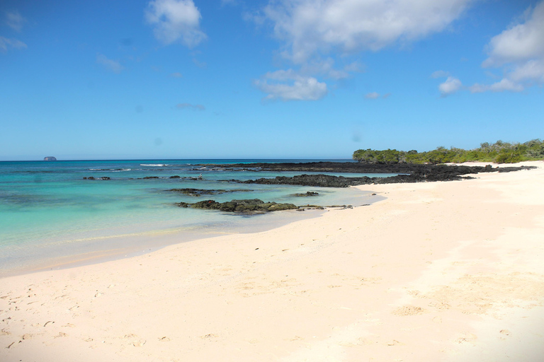 Galapagos Island Hopping Tour - 9D/8N