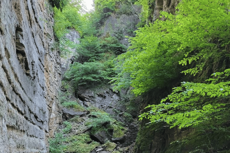 Mullerthal & Wolf's Gorge: Rock Walk with Clifftop Champagne