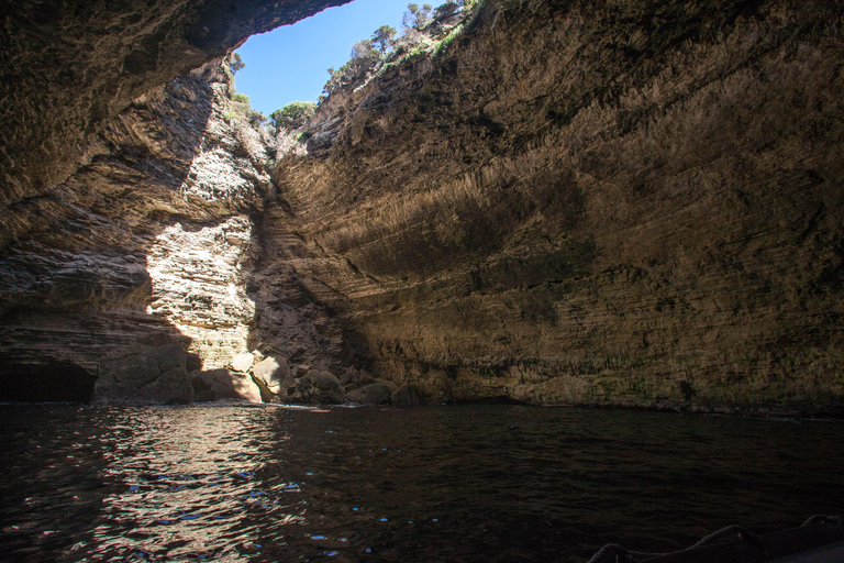 From Santa Teresa Gallura: Corsica and Bonifacio Boat Tour