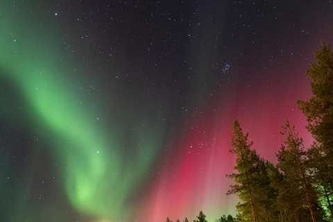 Rovaniemi: Excursión de Caza de Auroras Boreales con Garantía