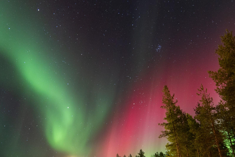 Rovaniemi: tour di caccia all&#039;aurora boreale con garanzia