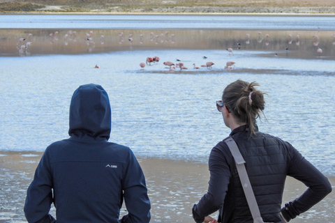 3-Day Uyuni Expedition to San Pedro de Atacama Tour with Spanish-speaking driver