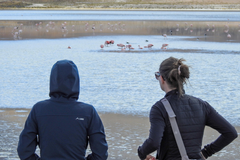 3-Day Uyuni Expedition to San Pedro de Atacama Tour with Spanish-speaking driver