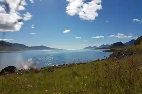 Hólmanes: Guidad promenad i naturen
