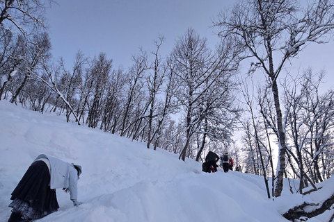 Tromsø: Fjellheisen Local Guided Hike