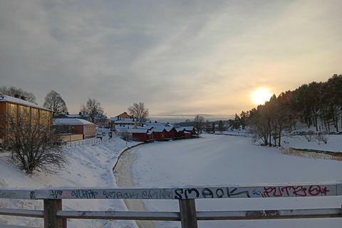 Privat rundtur i Helsingfors och Borgå