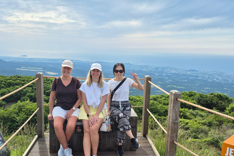Jeju: UNESCO South & East Highlights 2 Days Combo Tour