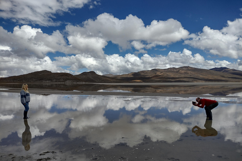 From Arequipa: Salinas Lake Day Trip (Private Tour) From Arequipa: Salinas Lake Day Trip (Private Tour)