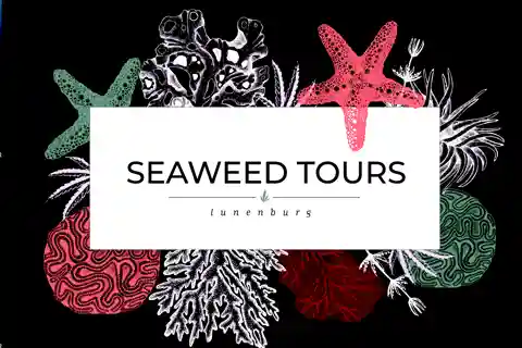 Seaweed Tours Lunenburg N.S. Pode ser considerado patrimônio mundial da Unesco.