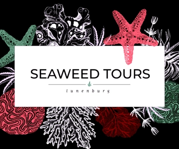 Seaweed Tours Lunenburg N.S. Pode ser considerado patrimônio mundial da Unesco.