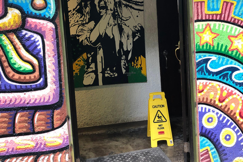 鲍勃·马利九英里之旅（从蒙特哥贝和法尔茅斯出发）鲍勃·马利9英里之旅（从蒙特哥贝和法尔茅斯出发）