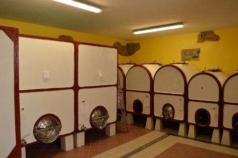 Casalnoceto: Winery Tour with Wine Tasting & Local Food Winery Visit in Alessandria - Italiano