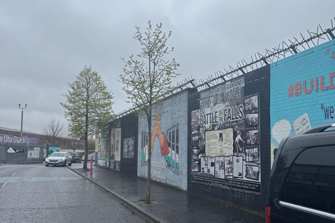 Belfast: Historical & Political Tour with Hotel Pickup