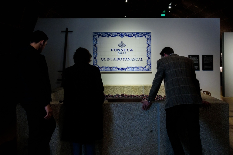 Porto: pokaz fado na żywo, wino porto i kolacja w Fonseca