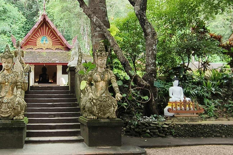 Chiang Mai: Doi Suthep, Wat Pha Lat & Sticky Waterfall TourChiang Mai: Doi Suthep-tempel en unieke kleverige waterval