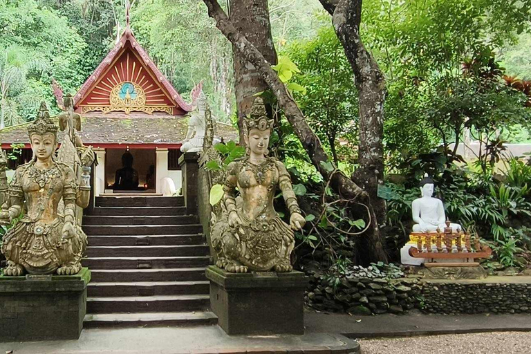 Chiang Mai: Doi Suthep, Wat Pha Lat & Sticky Waterfall TourChiang Mai: Doi Suthep-tempel en unieke kleverige waterval