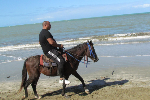 Puerto Plata: Horseback Tour of the Beach and Local Community