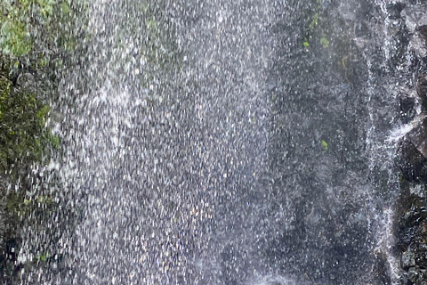 St. Vincent: Dark View Falls, Wallilabou & Fort Tour